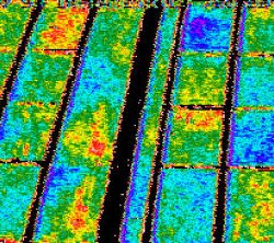 Agriculture_thermographie_aerienne